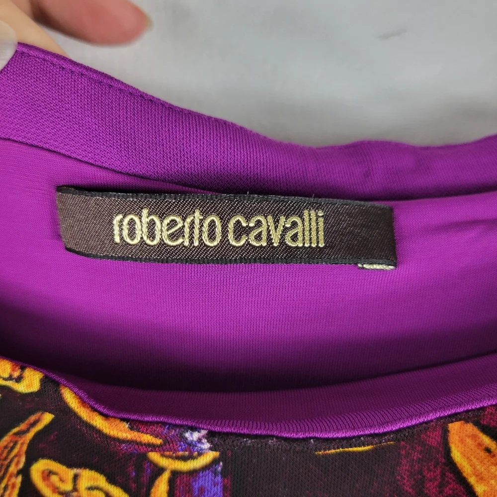 Roberto Cavalli Vintage Y2K Mesh Dragon Print Mini Dress Rare Hard to Find - Picture 6 of 12